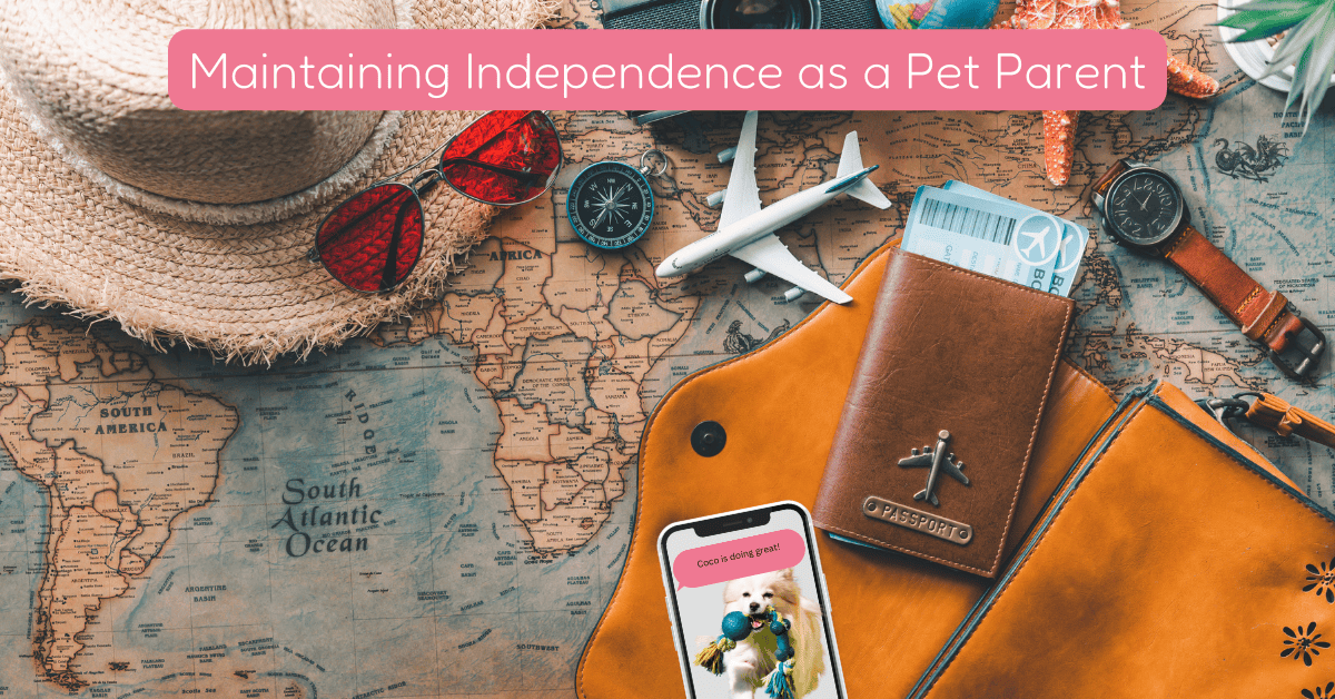 Balancing Life with a Pet Shoreline Happy Paws