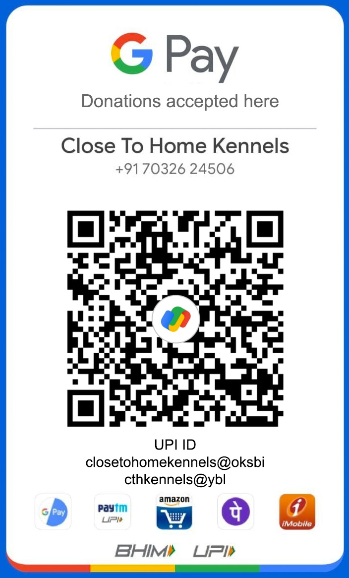 Close To Home Kennels Donation Support