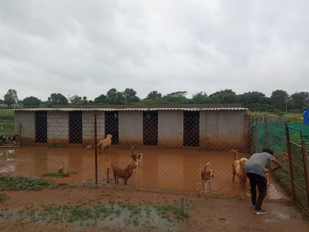 Close To Home Kennels Donation Support