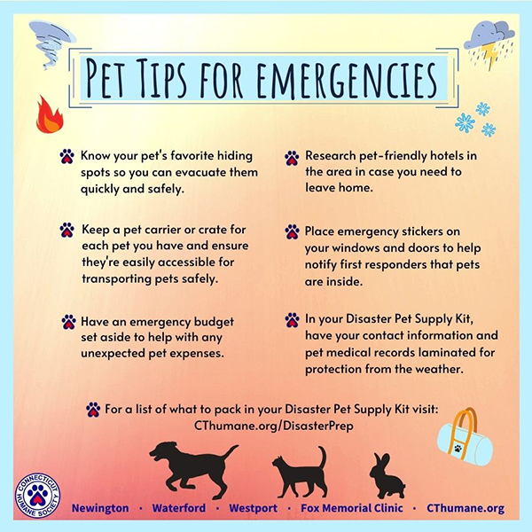 Disaster Preparedness Connecticut Humane Society