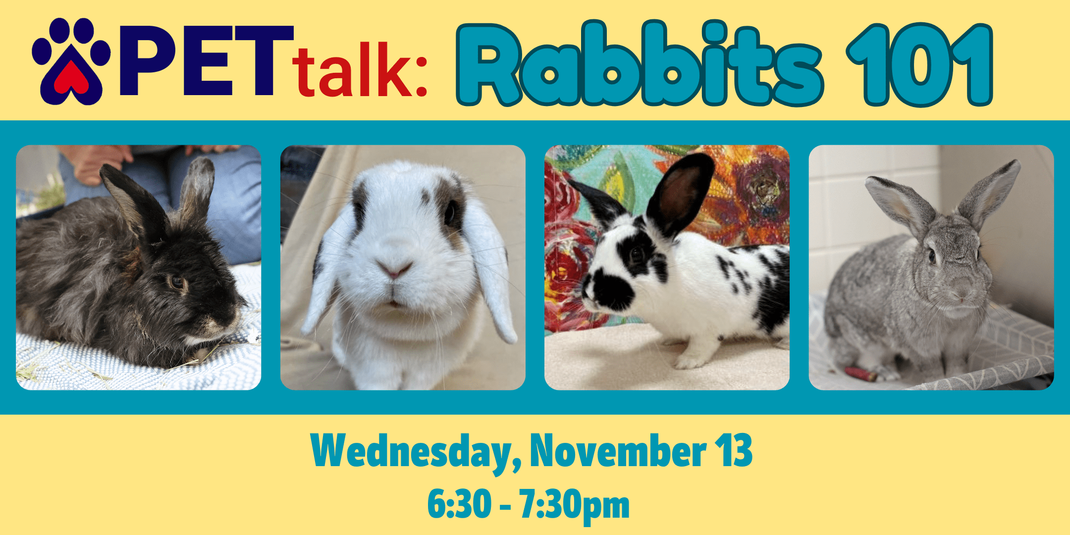 PETtalk Rabbits 101 Connecticut Humane Society