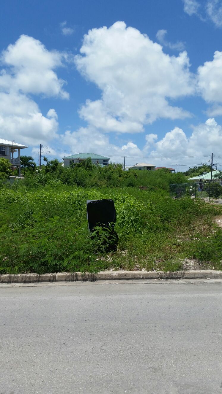 Land For Sale Oldbury, St. Philip CTIM Inc. Real Estate