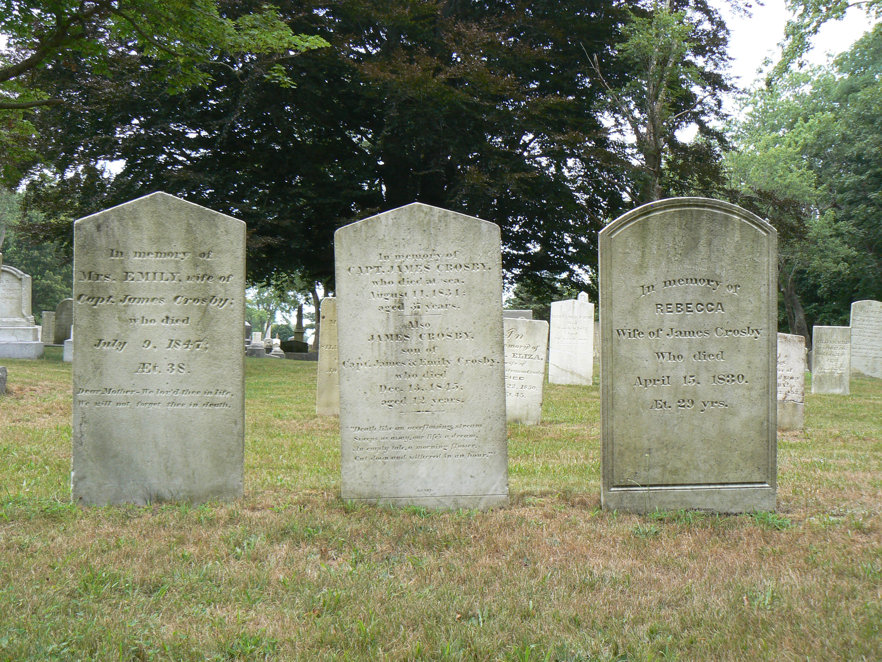 Brewster Cemetery, Brewster, Mass. CT