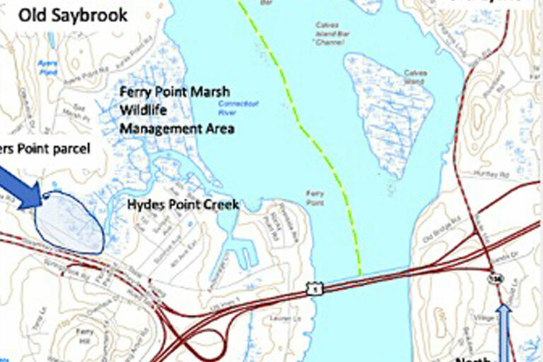 Old Saybrook Land Trust Working to Protect a Vital Tidal Wetland