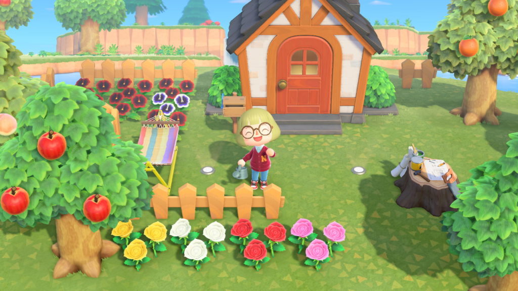 Entspanntes Leben auf der Insel Animal Crossing New Horizons CTRL