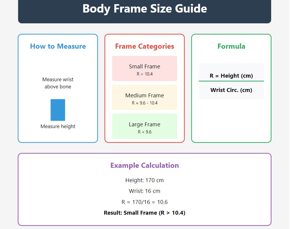 Body Frame Size Calculator - Measure Body Frame From Height / Wrist