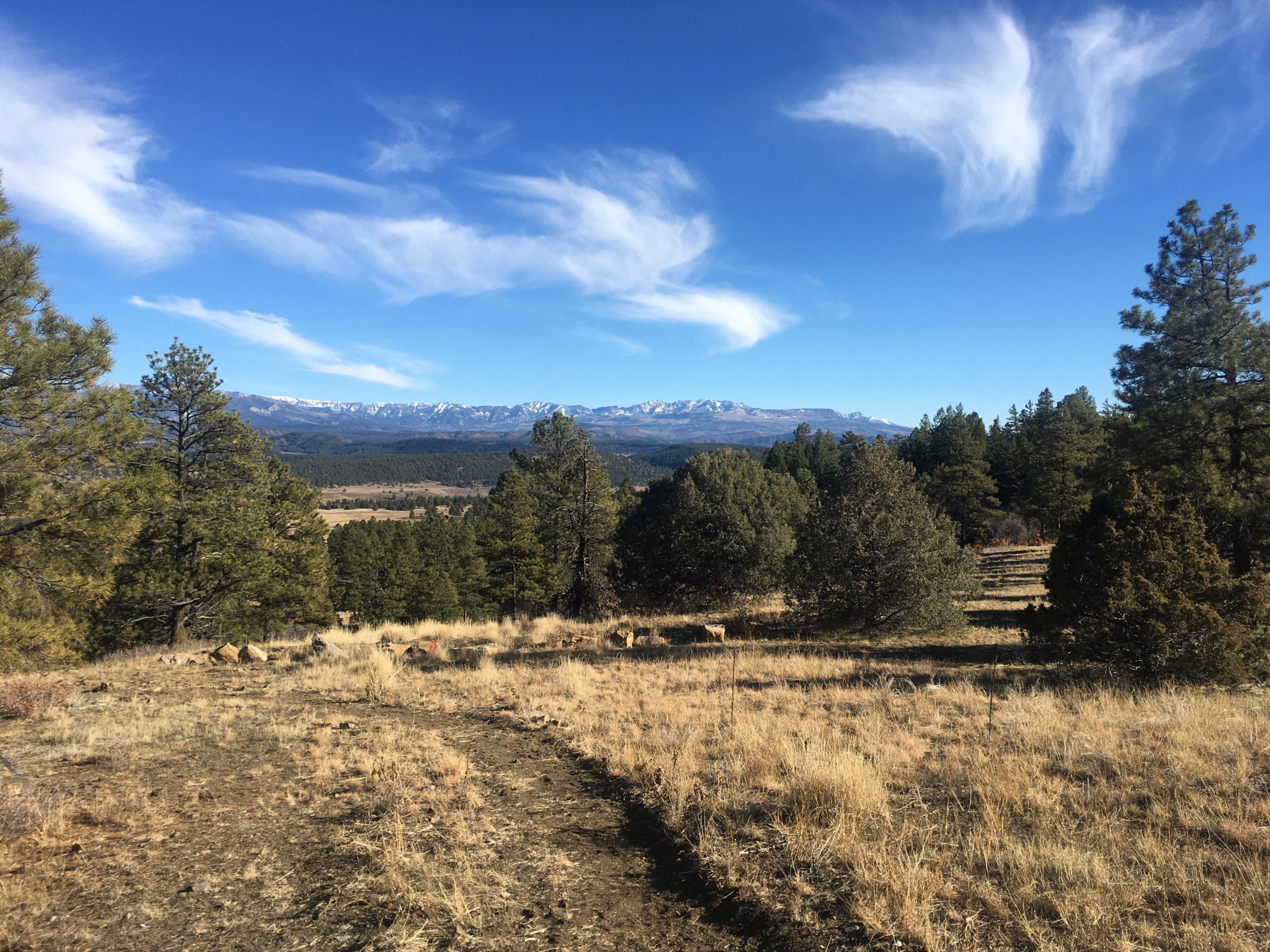 Timber Ridge Trail Photo Gallery Colorado Timber Ridge