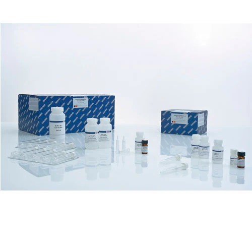 30124. KIT MIDI DE SANGRE QIAAMP DNA 100 PREPS QIAGEN CTR Scientific