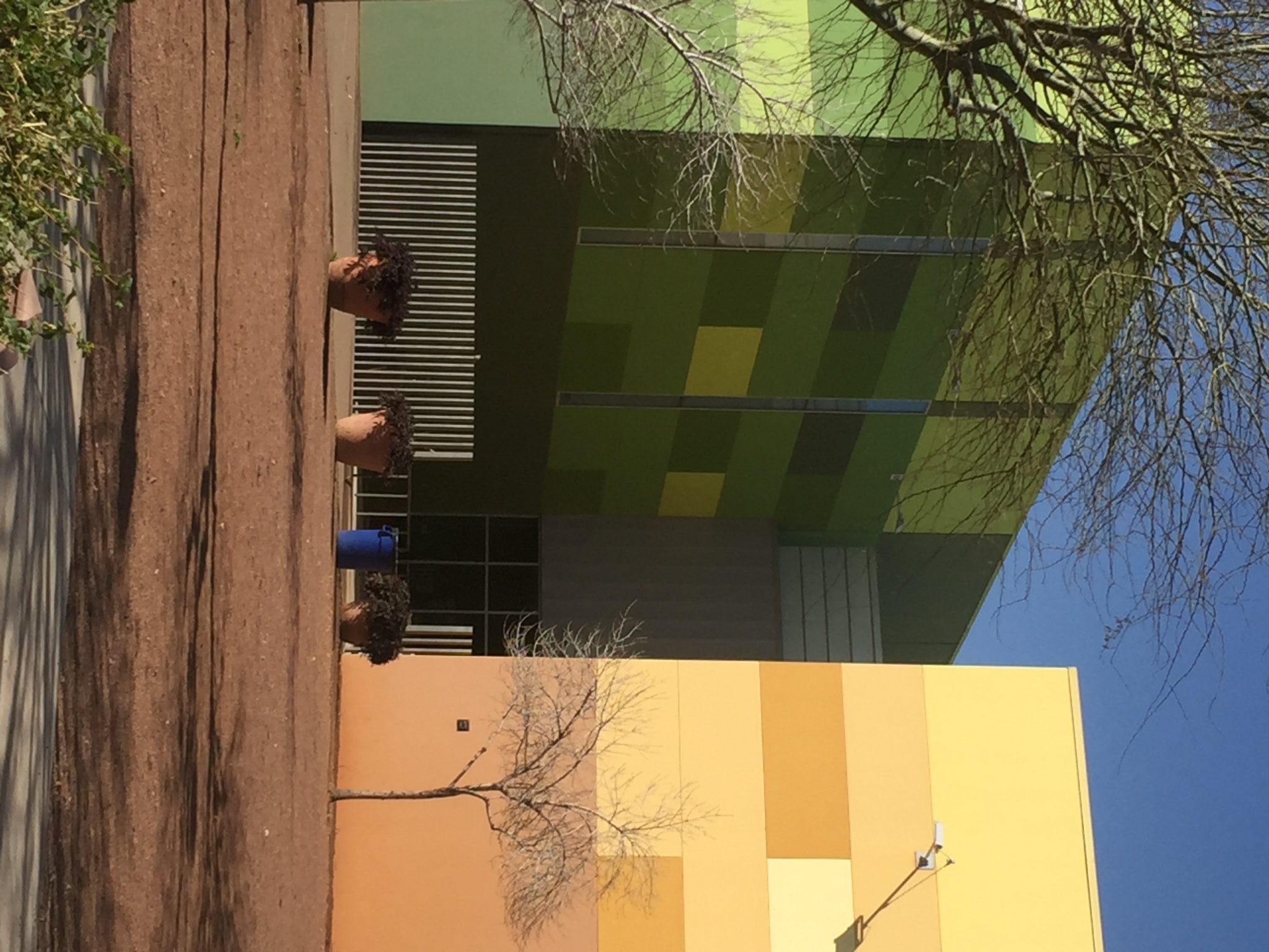 Avondale Randall McDaniel Sports Complex Caruso Turley Scott, Inc.