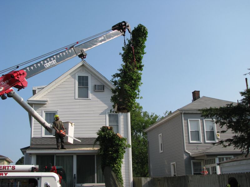 Tree Removal Gallery Precision Cutting Services of Connecticut
