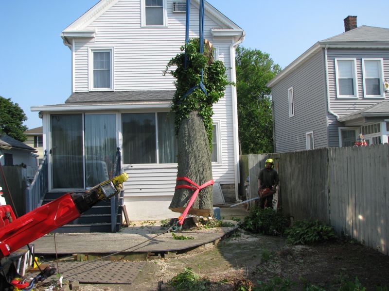Tree Removal Gallery Precision Cutting Services of Connecticut
