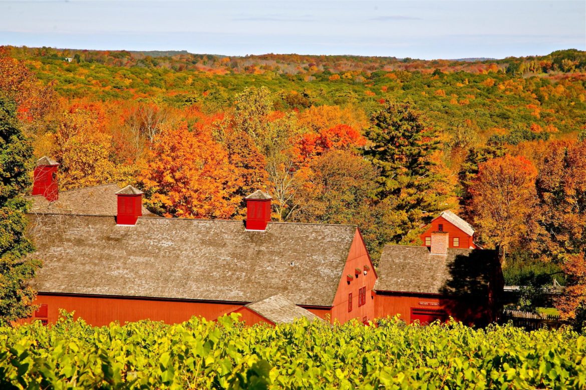 Sharpe Hill Vineyard Connecticut (CT) Wine Trail