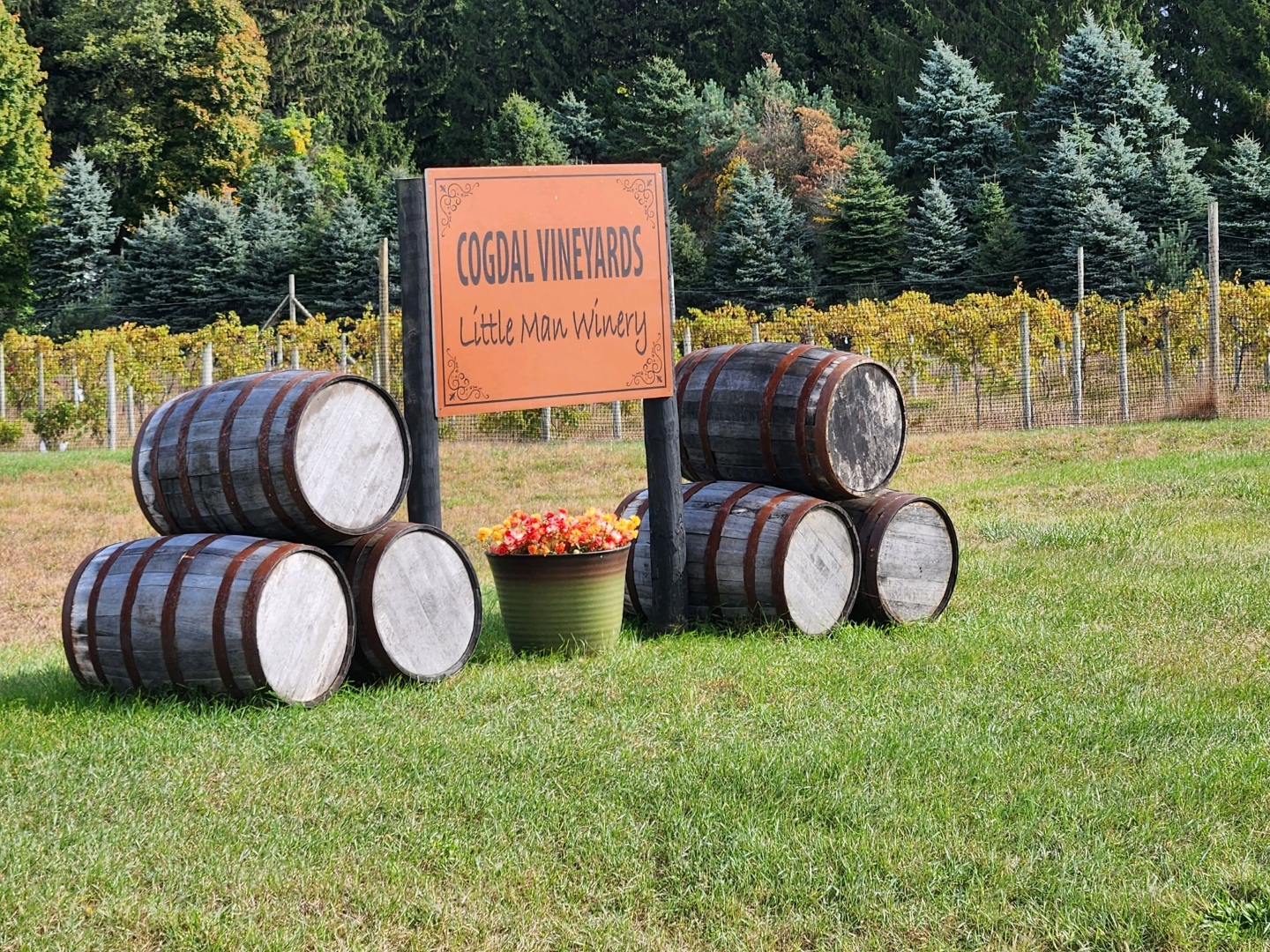 Cogdal Vineyards, South Haven MI CU4Wine & More