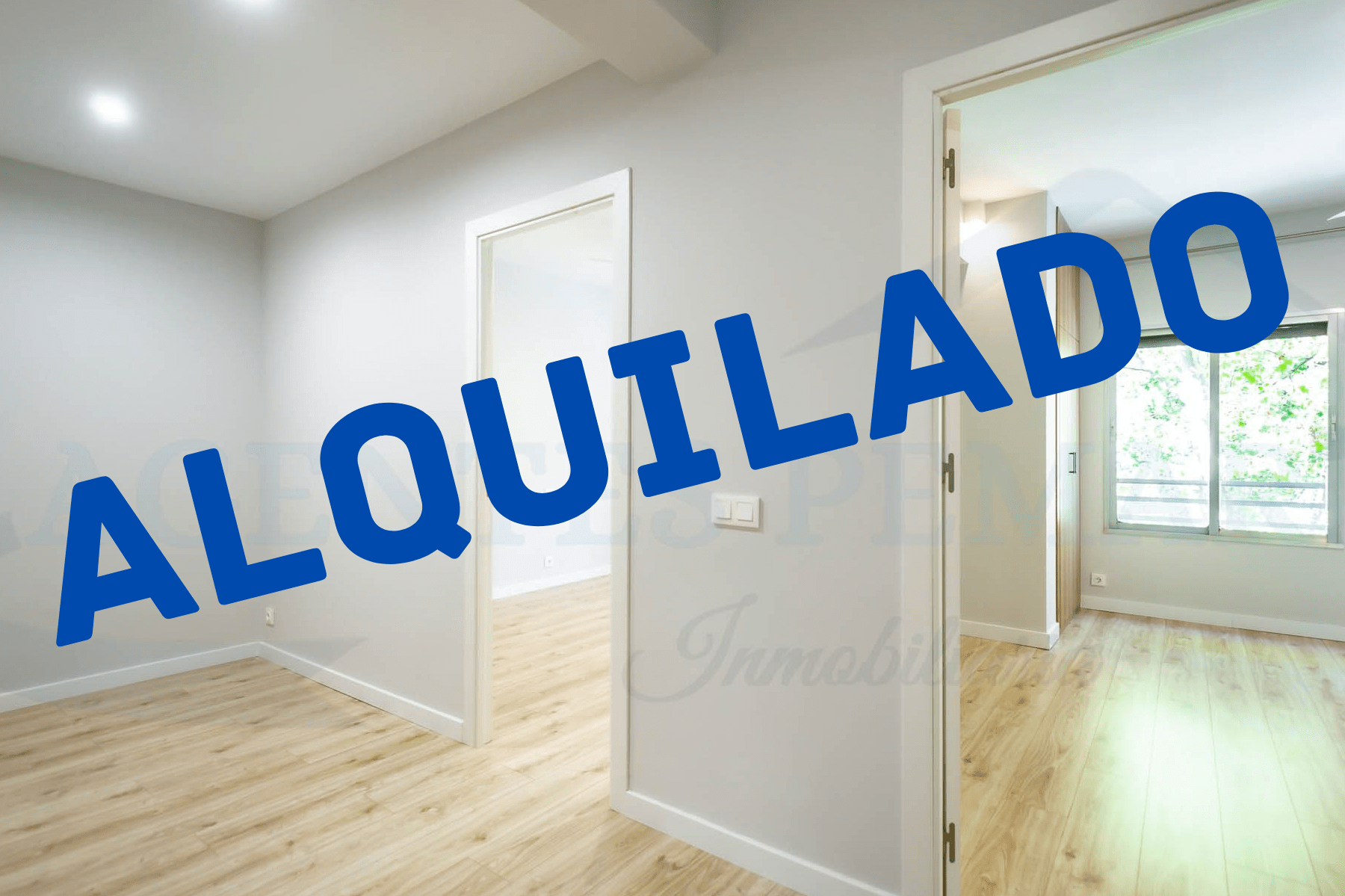 Cuánto cobra una inmobiliaria por alquilar un piso en España