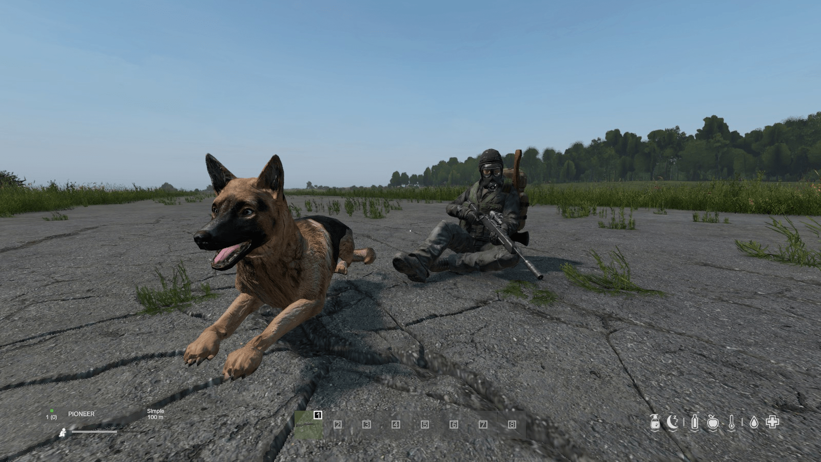 Лучшие моды для DayZ