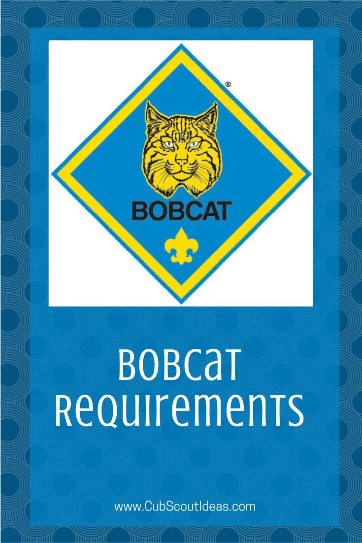 Cub Scout Requirements Cub Scout Ideas