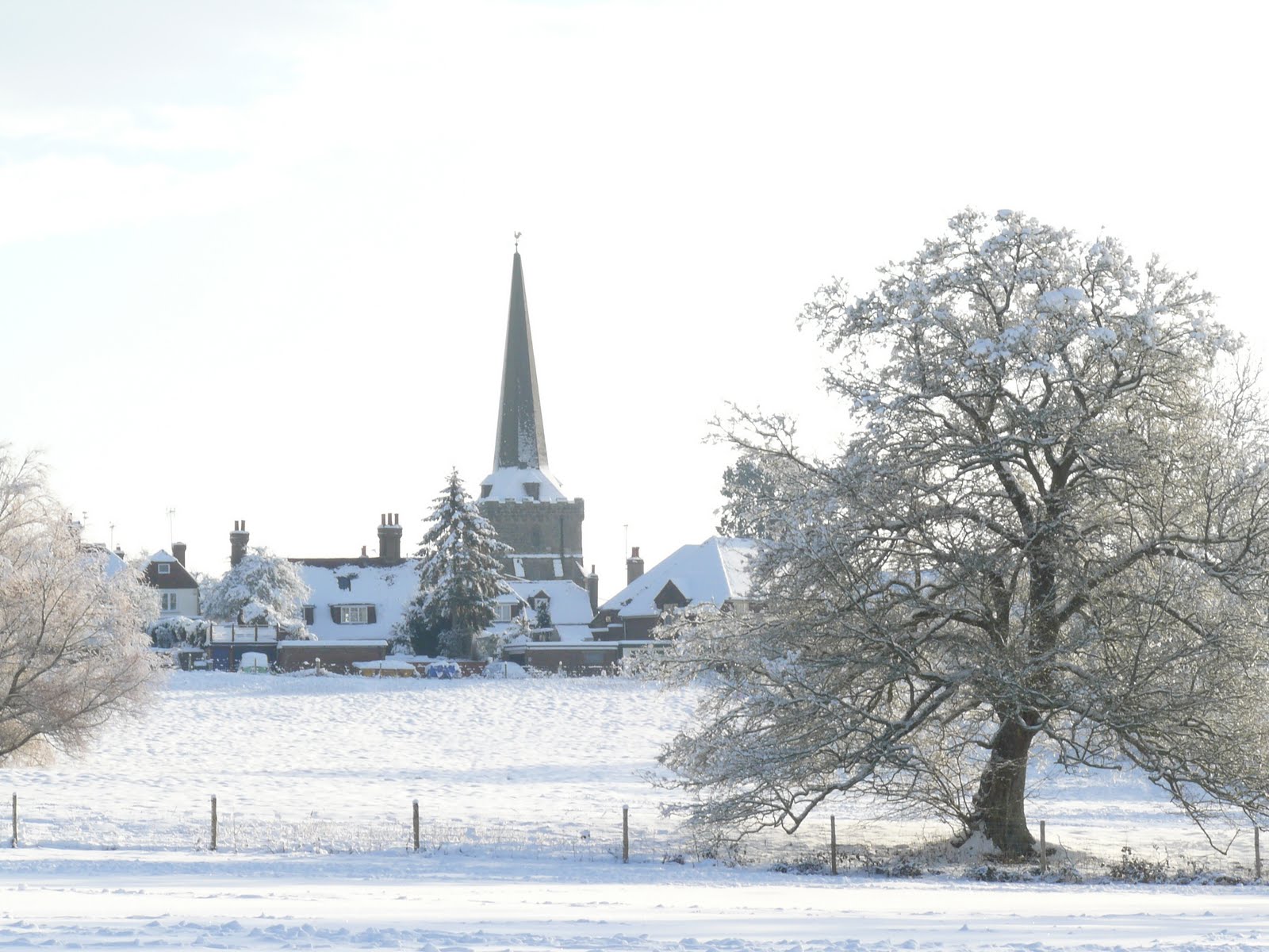 Cuckfield Christmas Tree Festival 2024 Where is the Festival held? Cuckfield Christmas Tree Festival