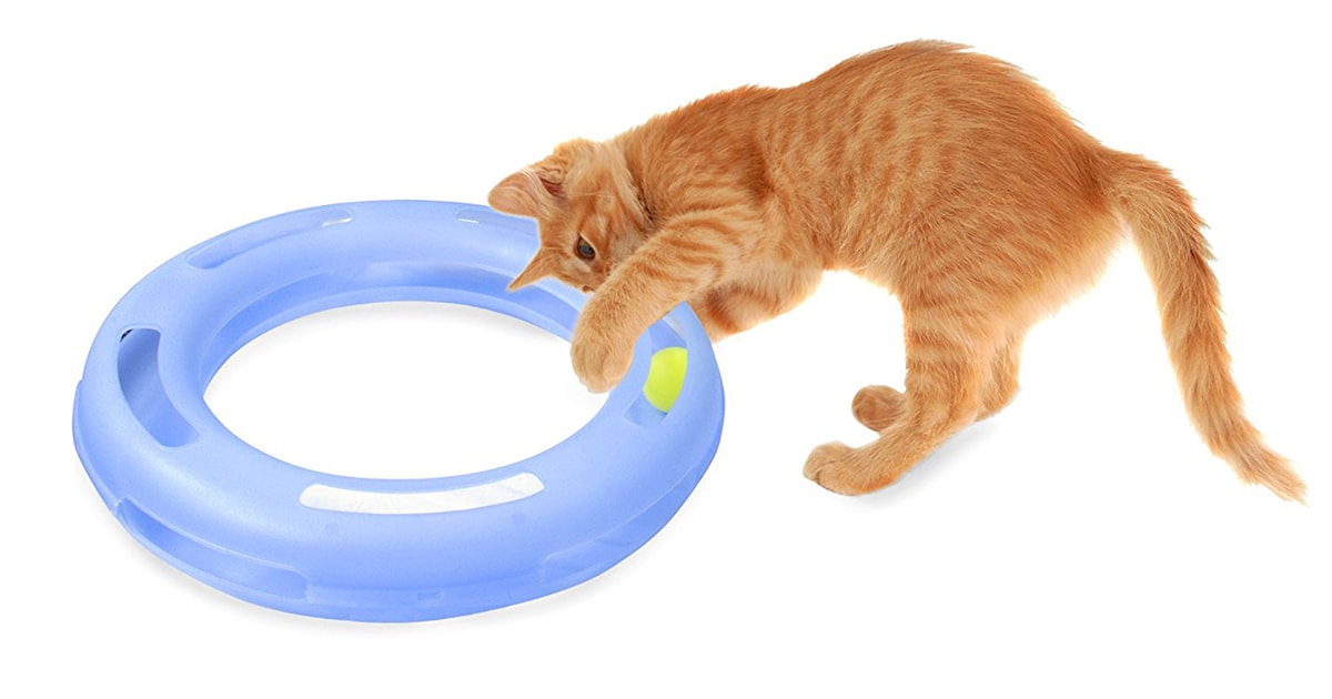 Friday Favorites to keep your cats occupied with Cuckoo4Design
