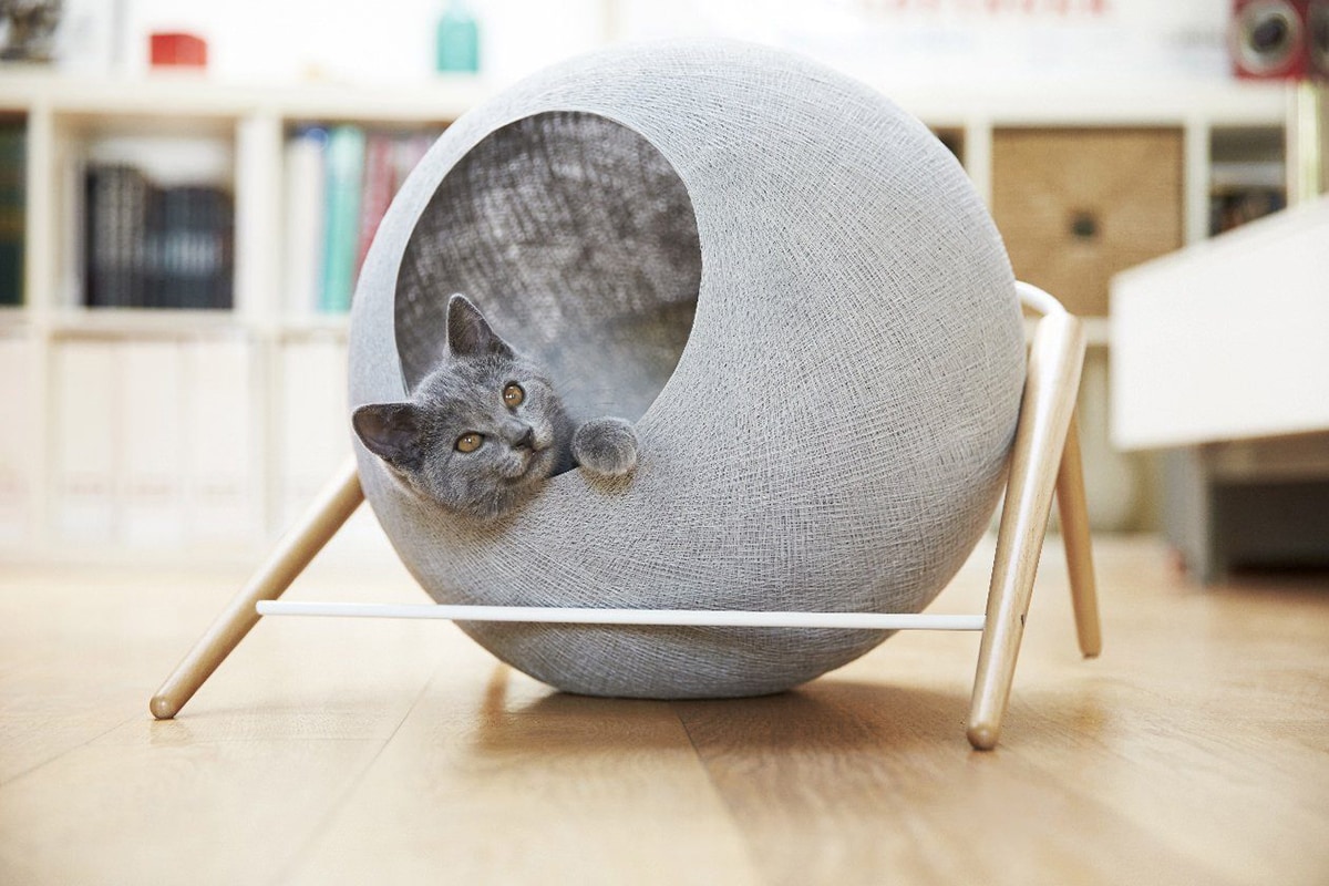 Friday Favorites Our New Cat Cave Cuckoo4Design
