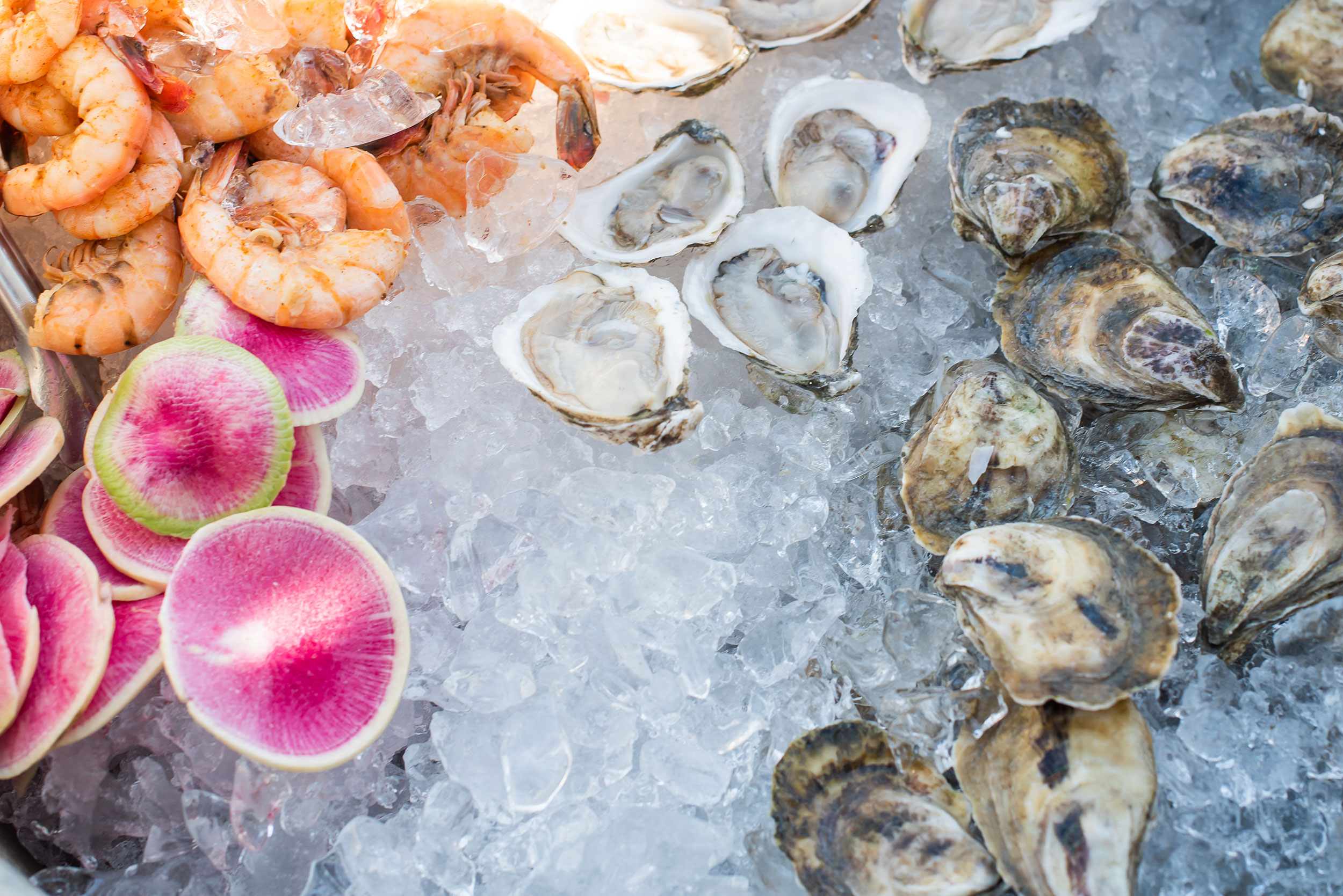 Charleston Seafood & Oyster Roast Catering by CudaCo.