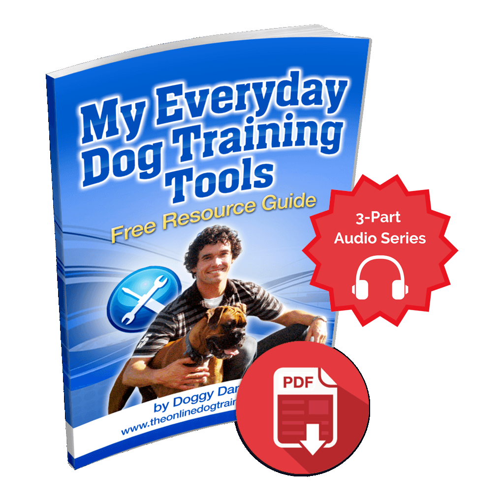 Dog Training Essentials 3 Part Audio Series For Dog Owners