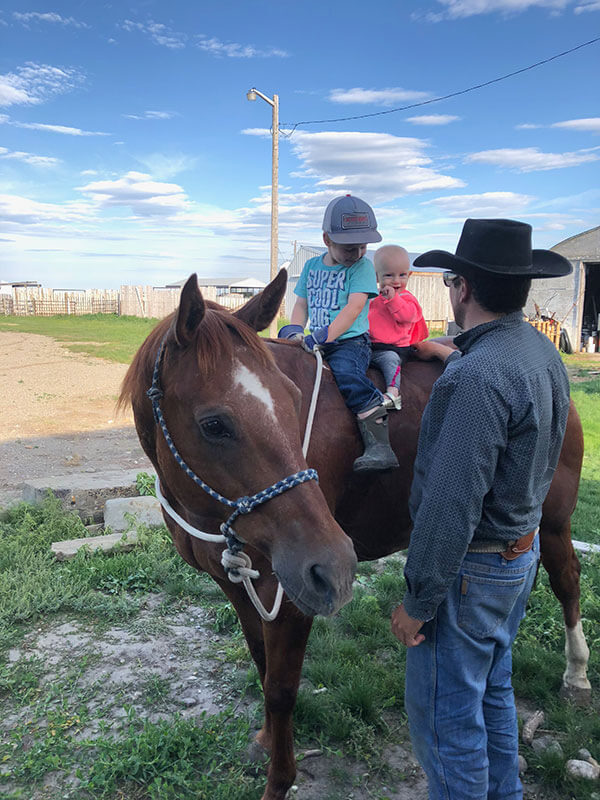 Around the Ranch Cudlobe Angus Angus Cattle Stavely, AB