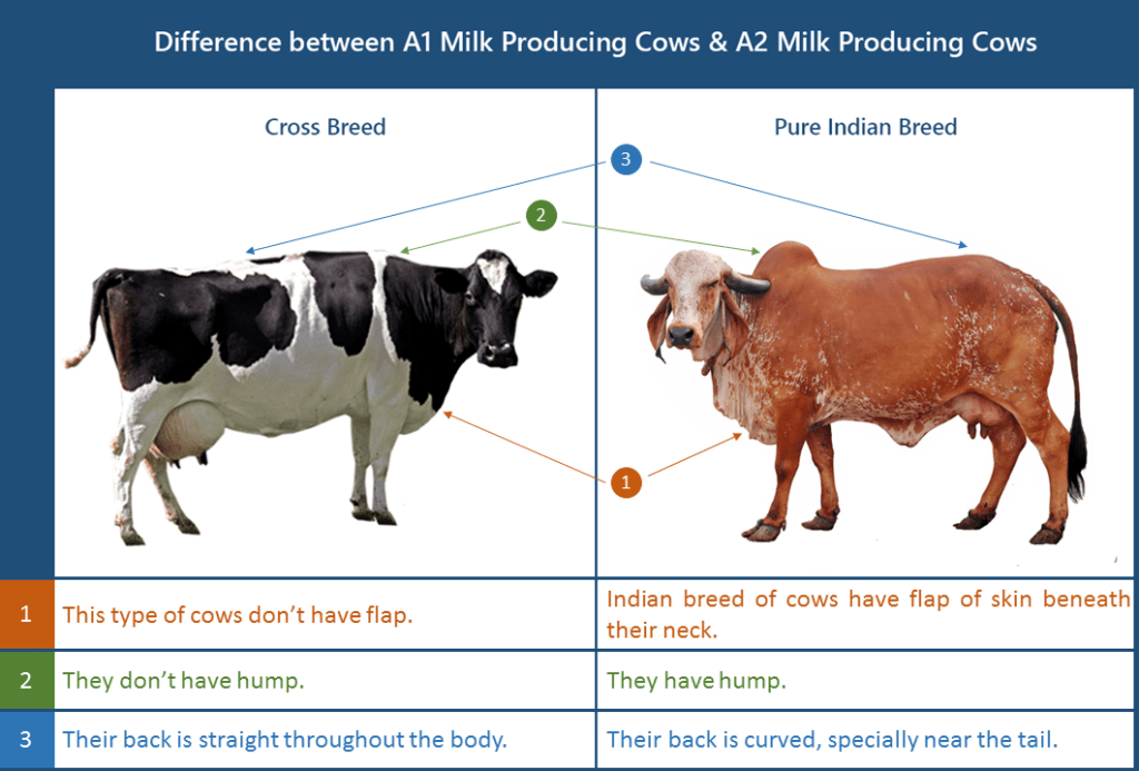 Does milk give you gas? A novel product may be the solution