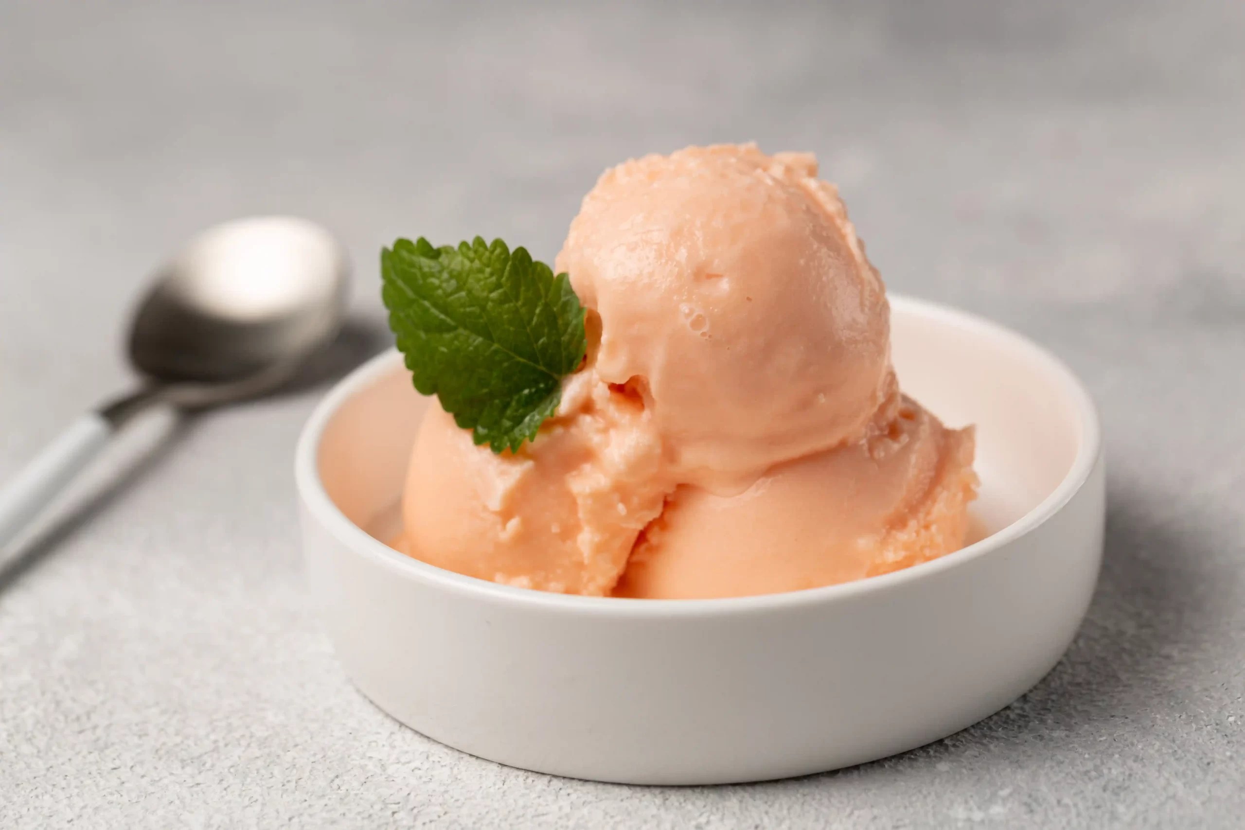 Recette de sorbet au melon Cuis'inox.fr