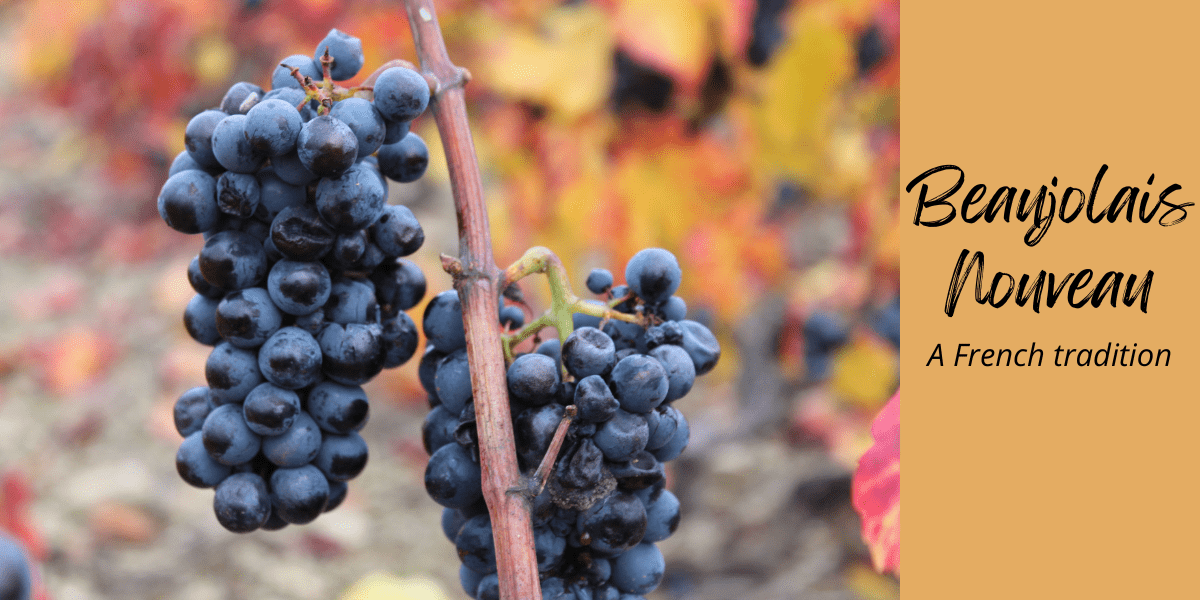 Share in our French wine tradition of Beaujolais Nouveau Cuisine