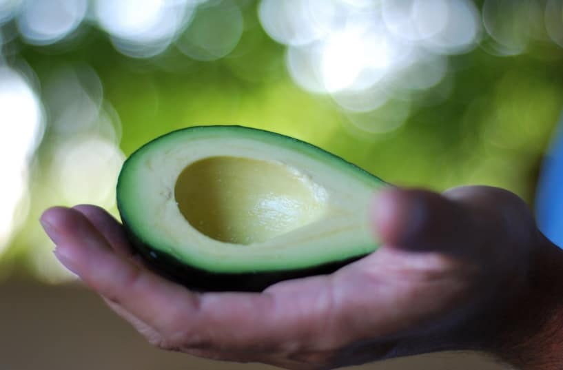 Are Avocados Good For You If You Have High Cholesterol Cuisine Bank