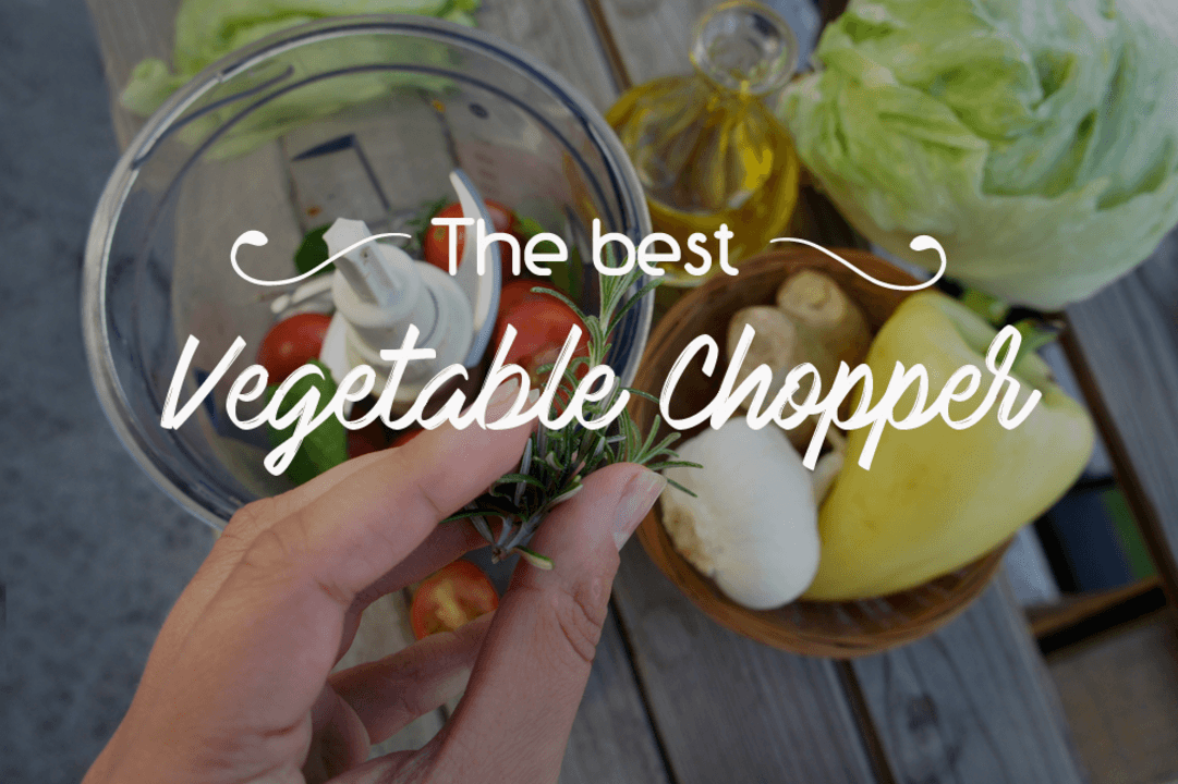 Best Vegetable Chopper To Buy 2019 Buying Guide & Choppers Review