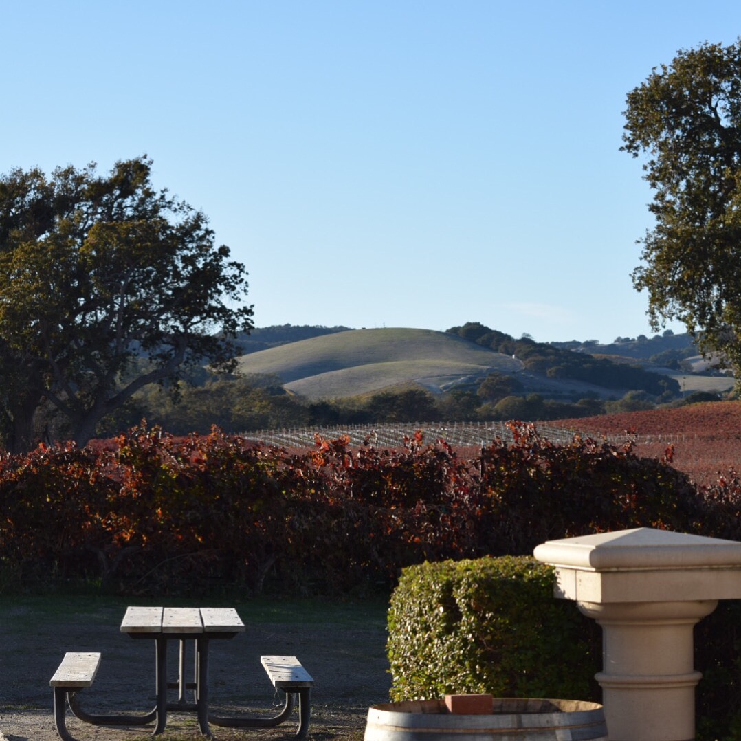 Carmel Valley California is the place to explore, enjoy and elevate