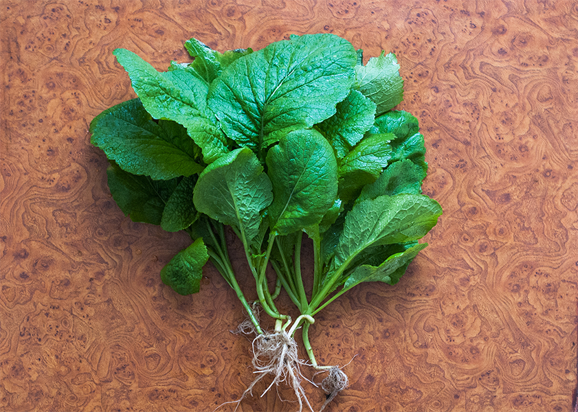 Local rayoko saag, local broad mustard leaves. Cuisine Nepal