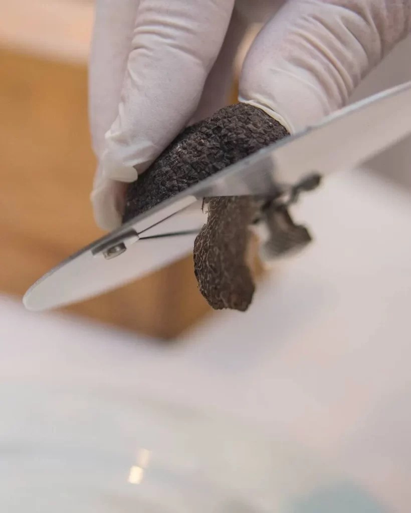 laminado de trufas argentinas