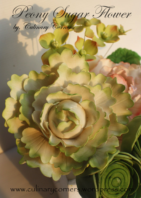 Peony Sugar Flowers Culinary Corners