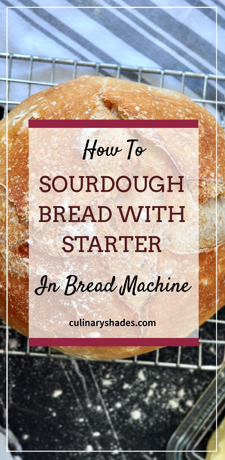 No Yeast Sourdough Bread Machine Recipe