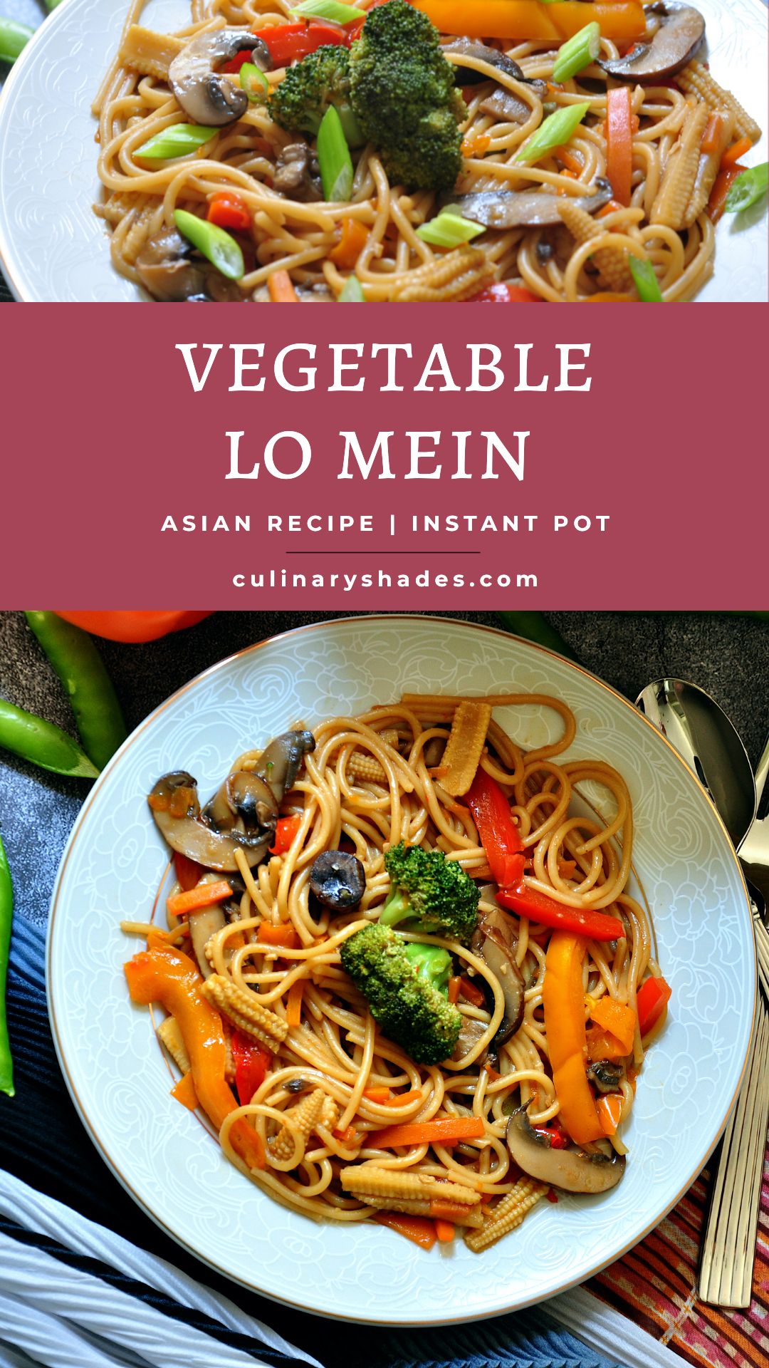 30 Minute Instant Pot Vegetable Lo Mein Culinary Shades