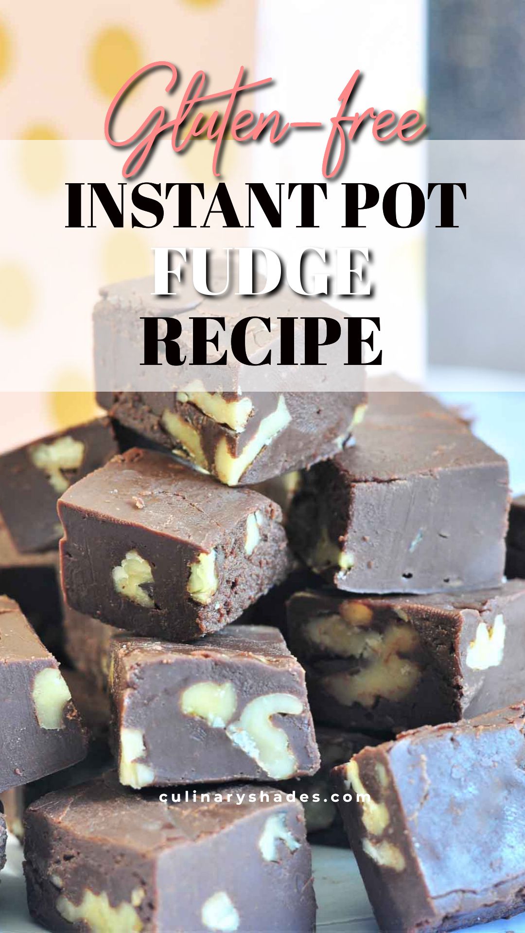 Instant Pot Fudge Culinary Shades