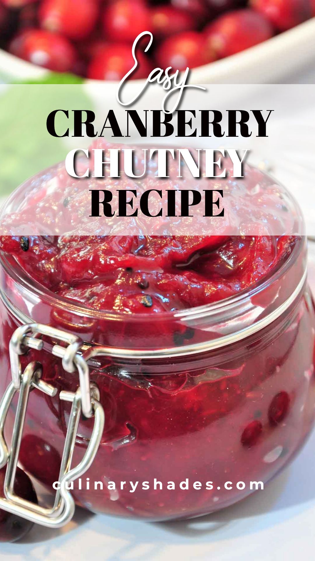 Cranberry Chutney Indian Style Culinary Shades