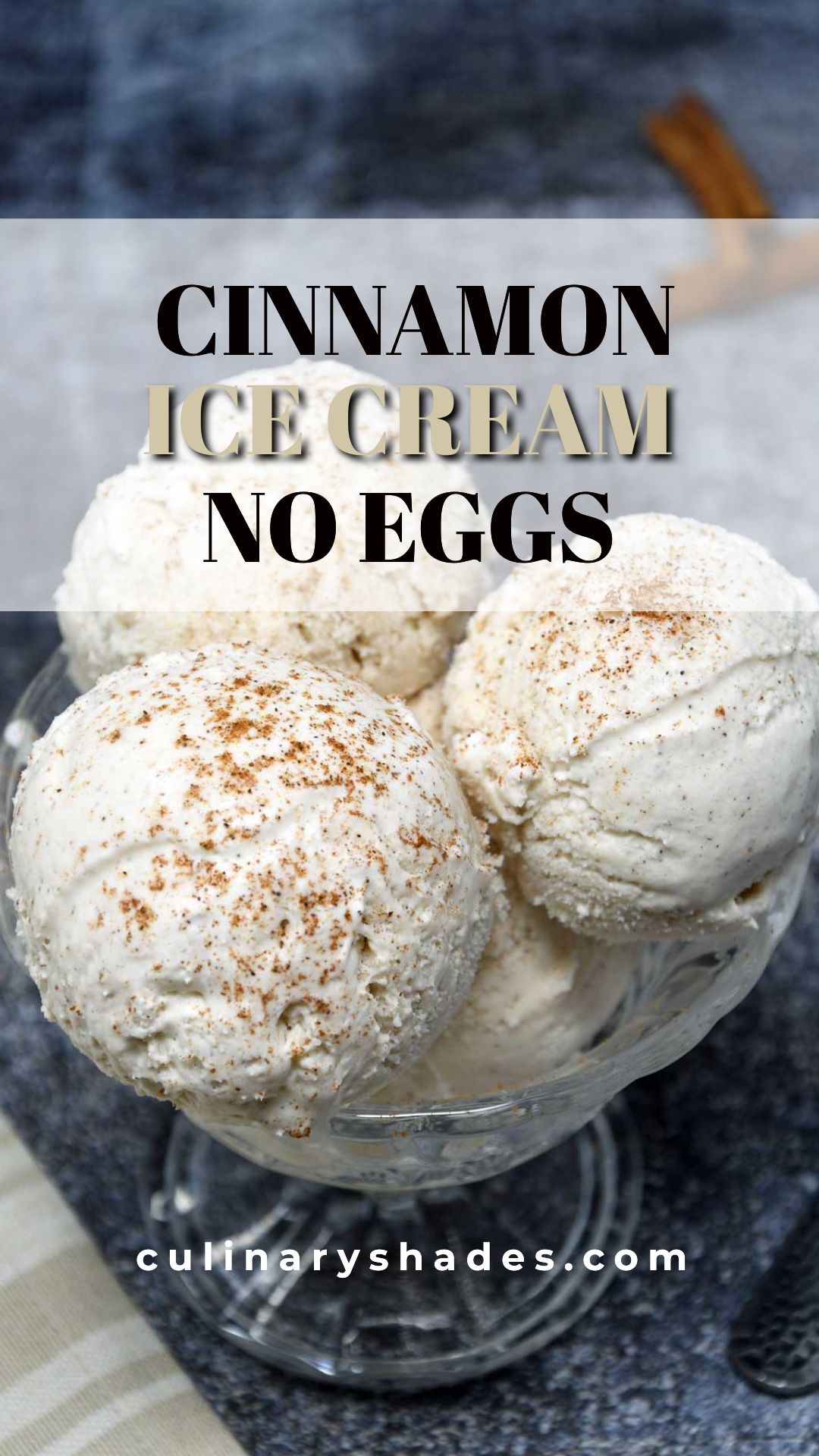 Cinnamon Ice Cream Culinary Shades