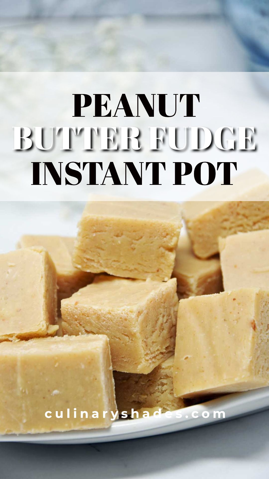 Instant Pot Peanut Butter Fudge Culinary Shades