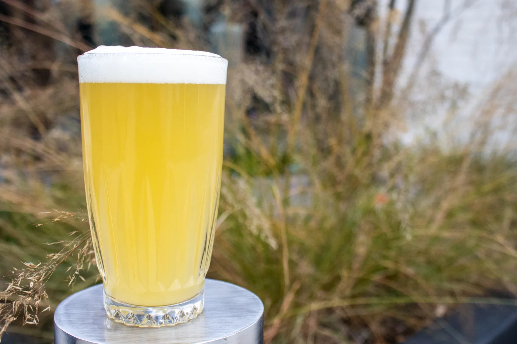 ケトル・サワーリング： 概要 Cullage Box