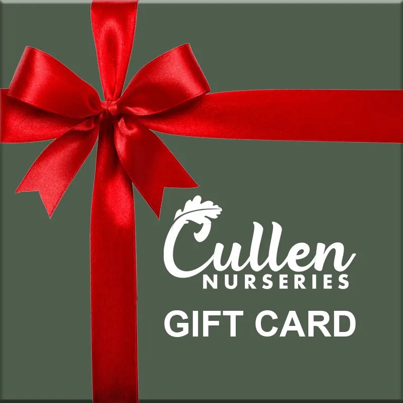 Cullen's Nurseries Gift Card The Perfect Present