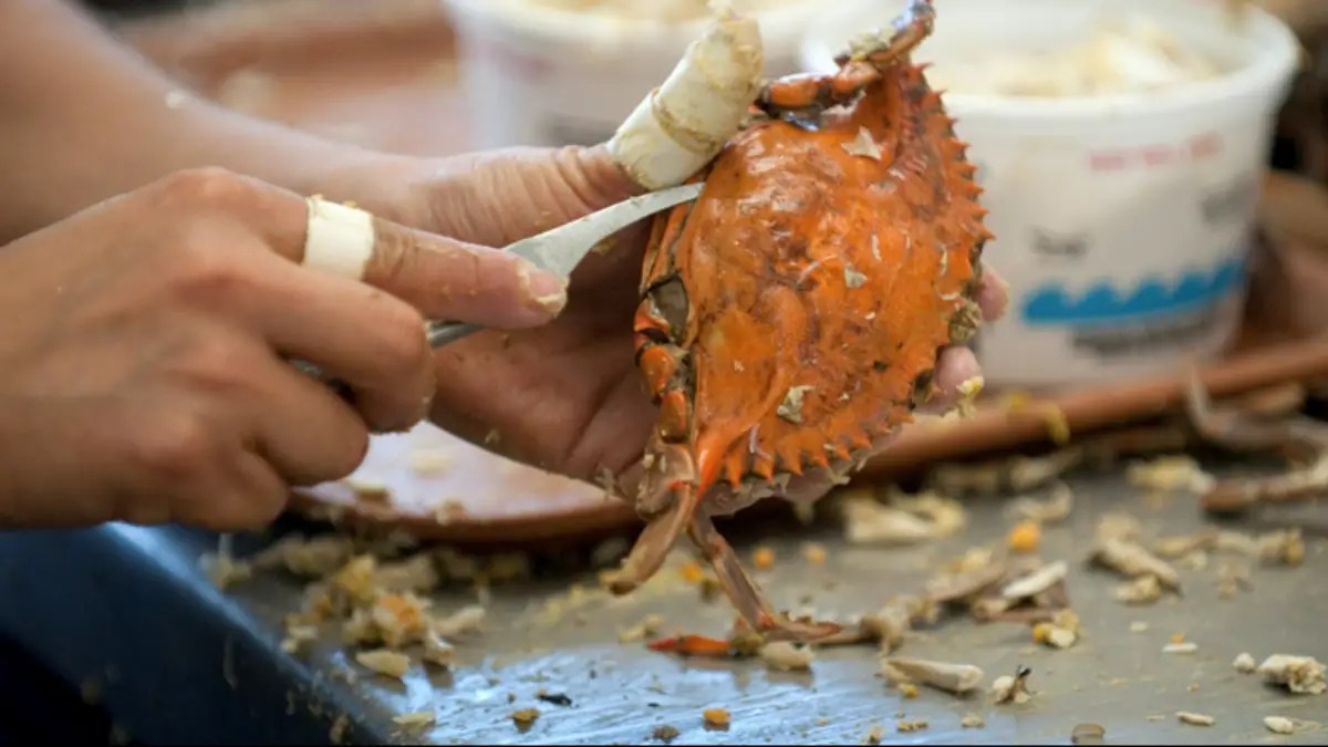 How To Tell If Crab Meat Is Bad?
