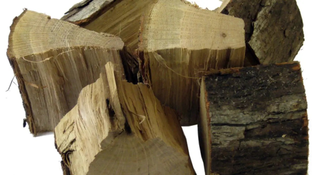 The Best Wood for Campfire Cooking Cully's Kitchen