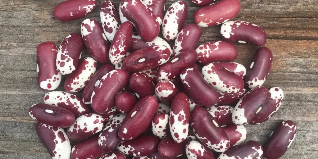 How To Tell If Beans Are Bad? Cully's Kitchen