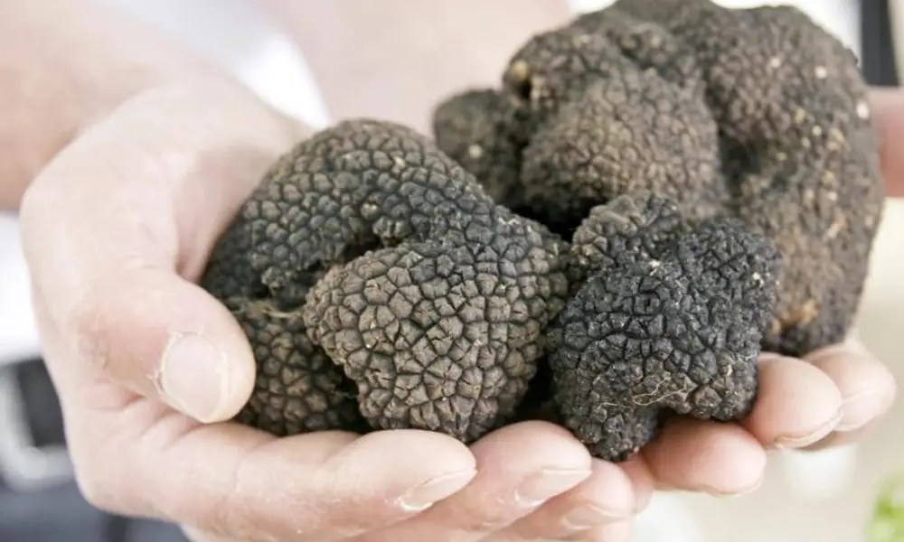 Truffle Nutrition Facts Cully's Kitchen