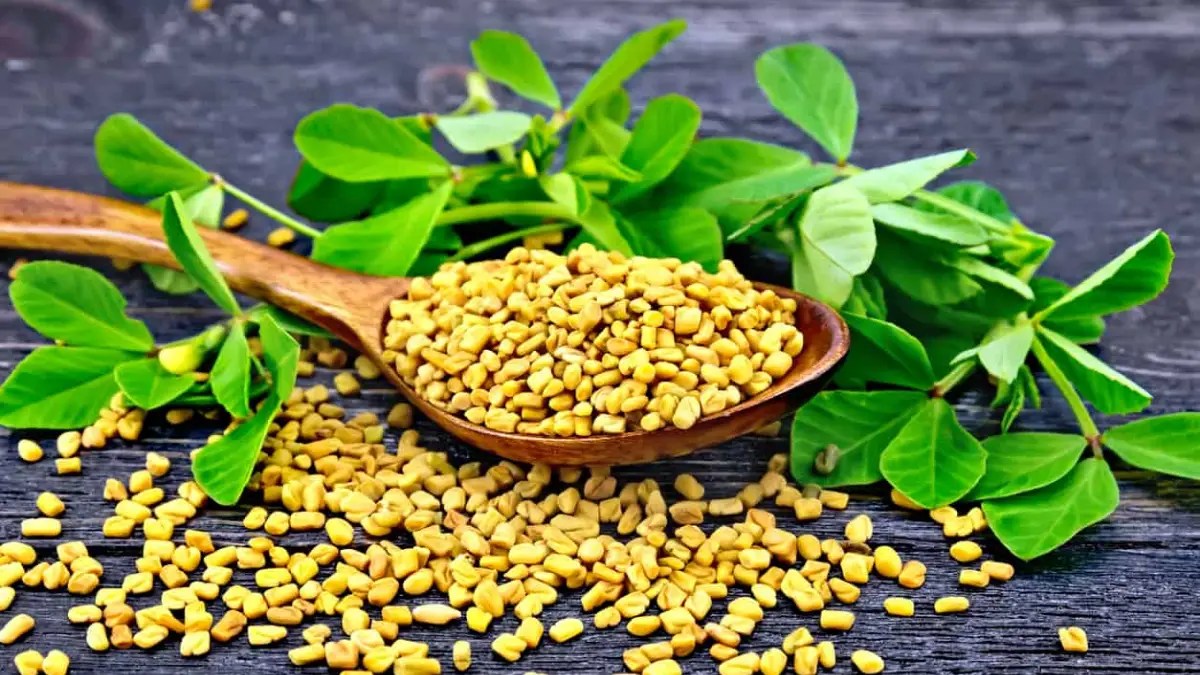 Fenugreek Nutrition Facts Cully's Kitchen