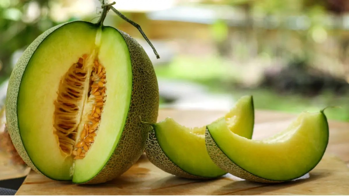 Honeydew Melon Nutrition Facts