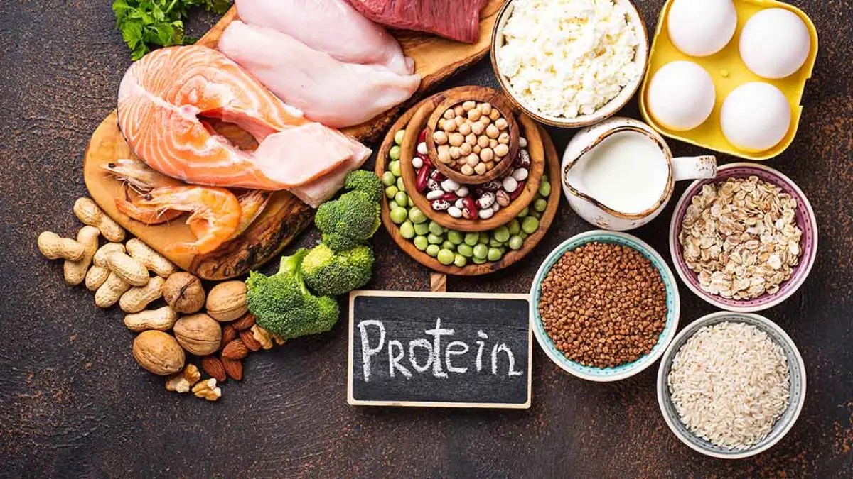 Which Food Has The Most Protein? Cully's Kitchen